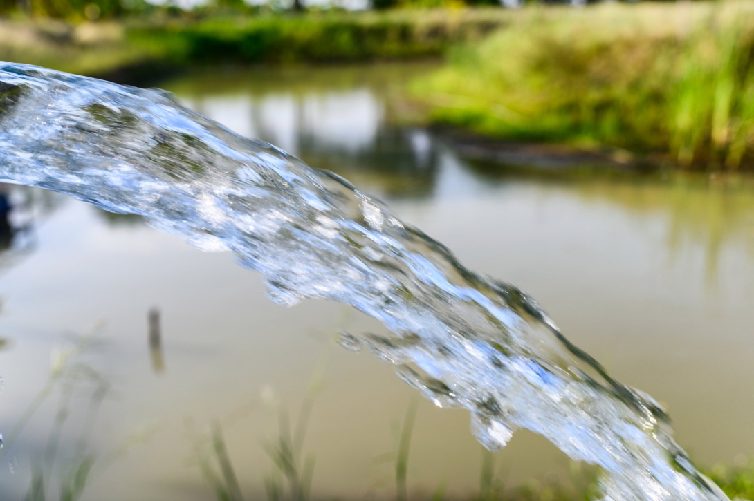 Grondwater