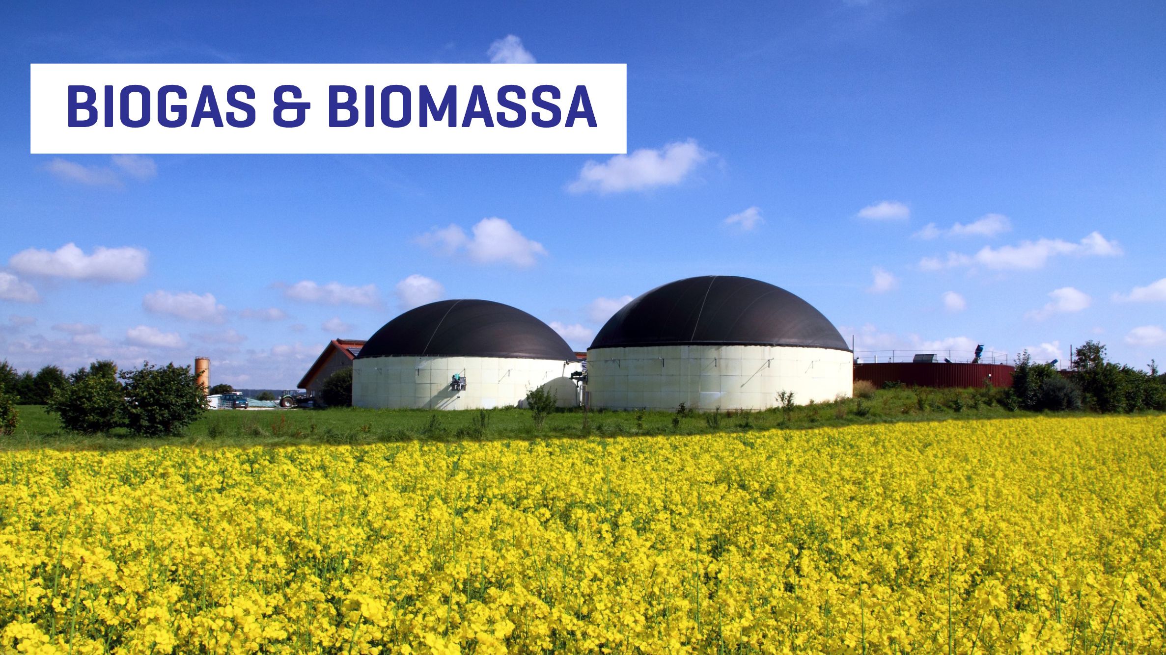 Profex: Biogas en biomassa